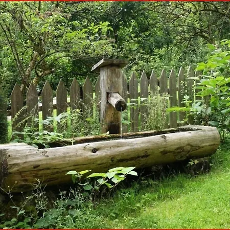 Landgasthof-hotel Fuchswirt 3* Hopfgarten im Brixental